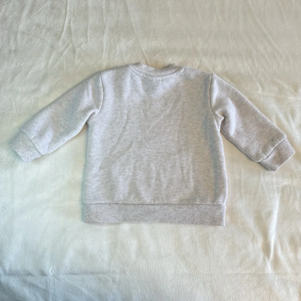 Disney Baby Winnie the Pooh & Friends Graphic Sweatshirt Shoulder Button Newborn